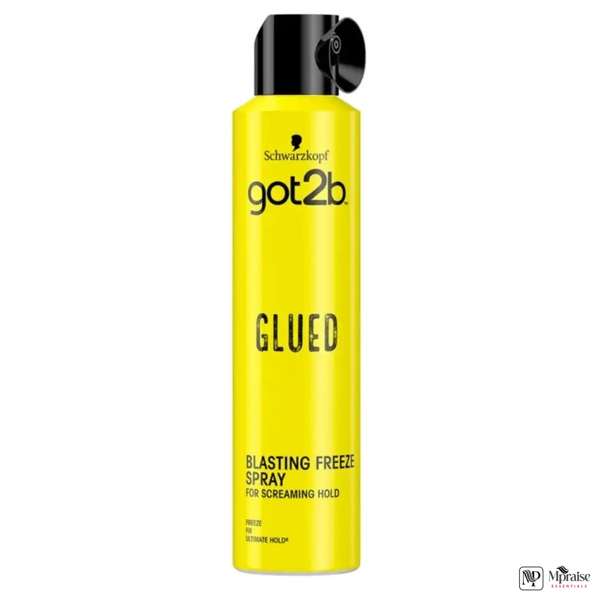 Got2b Blasting Freeze Spray (300ml)